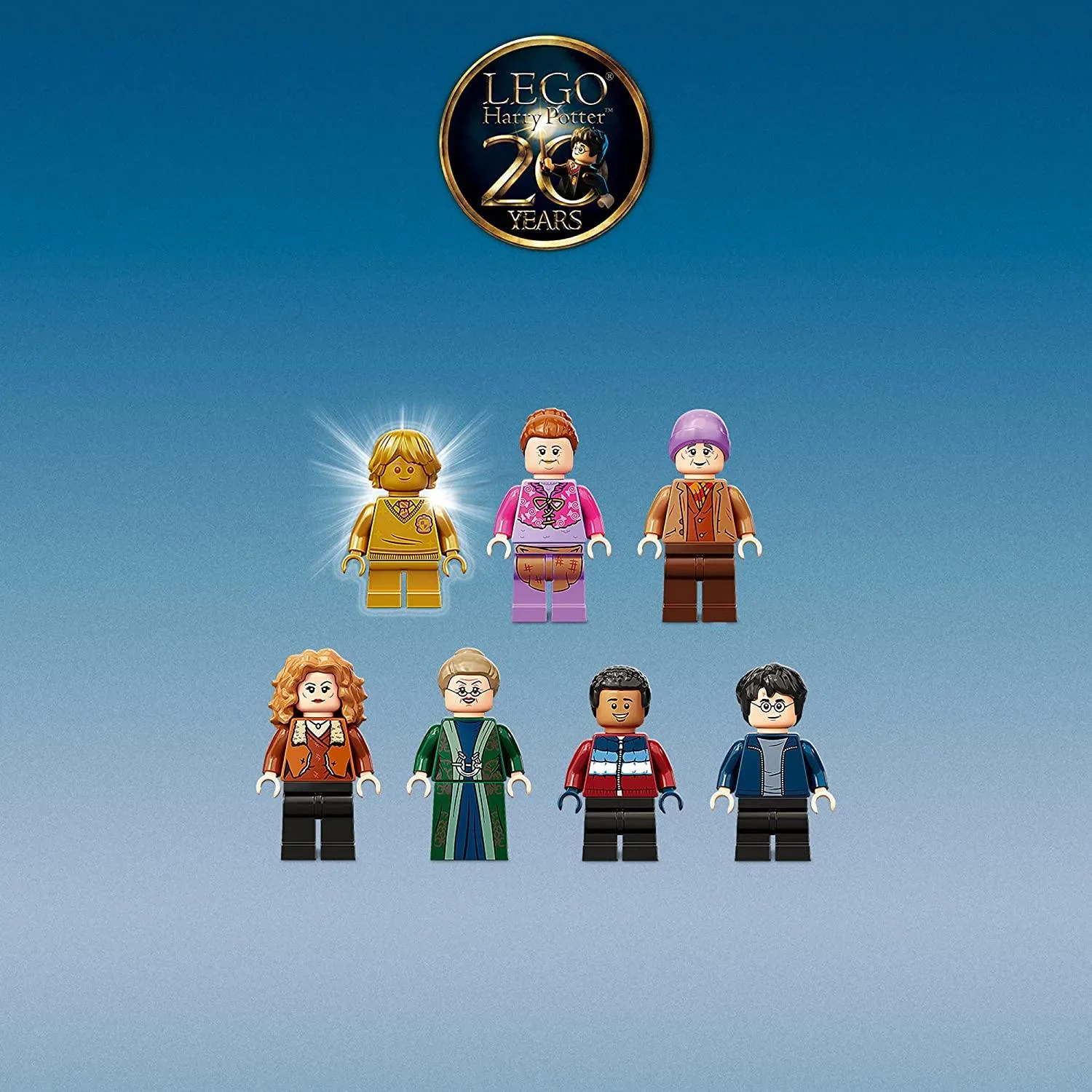 76388 Hogsmeade Village Visit