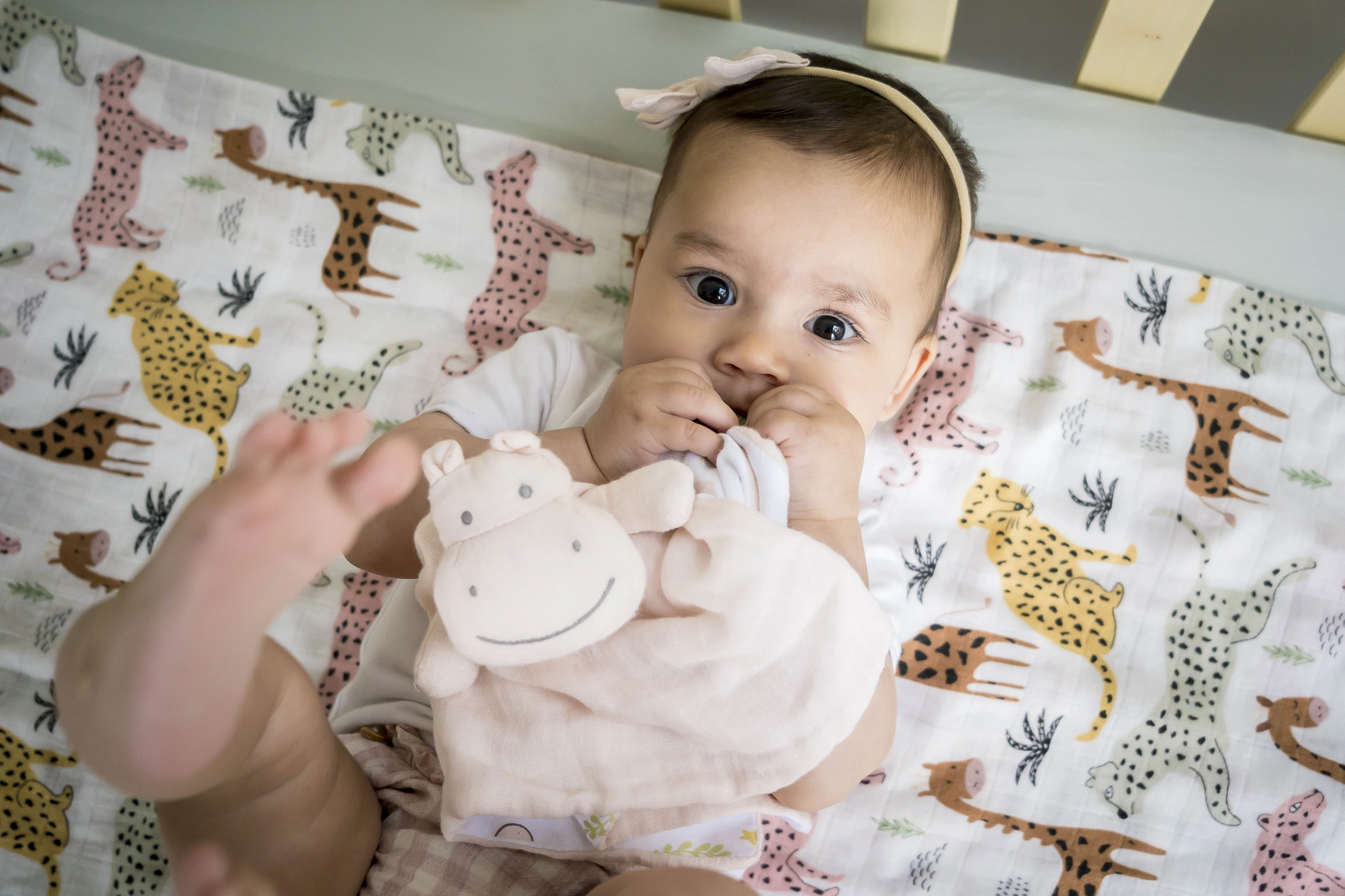 Hippo Lovey with Rubber Teether