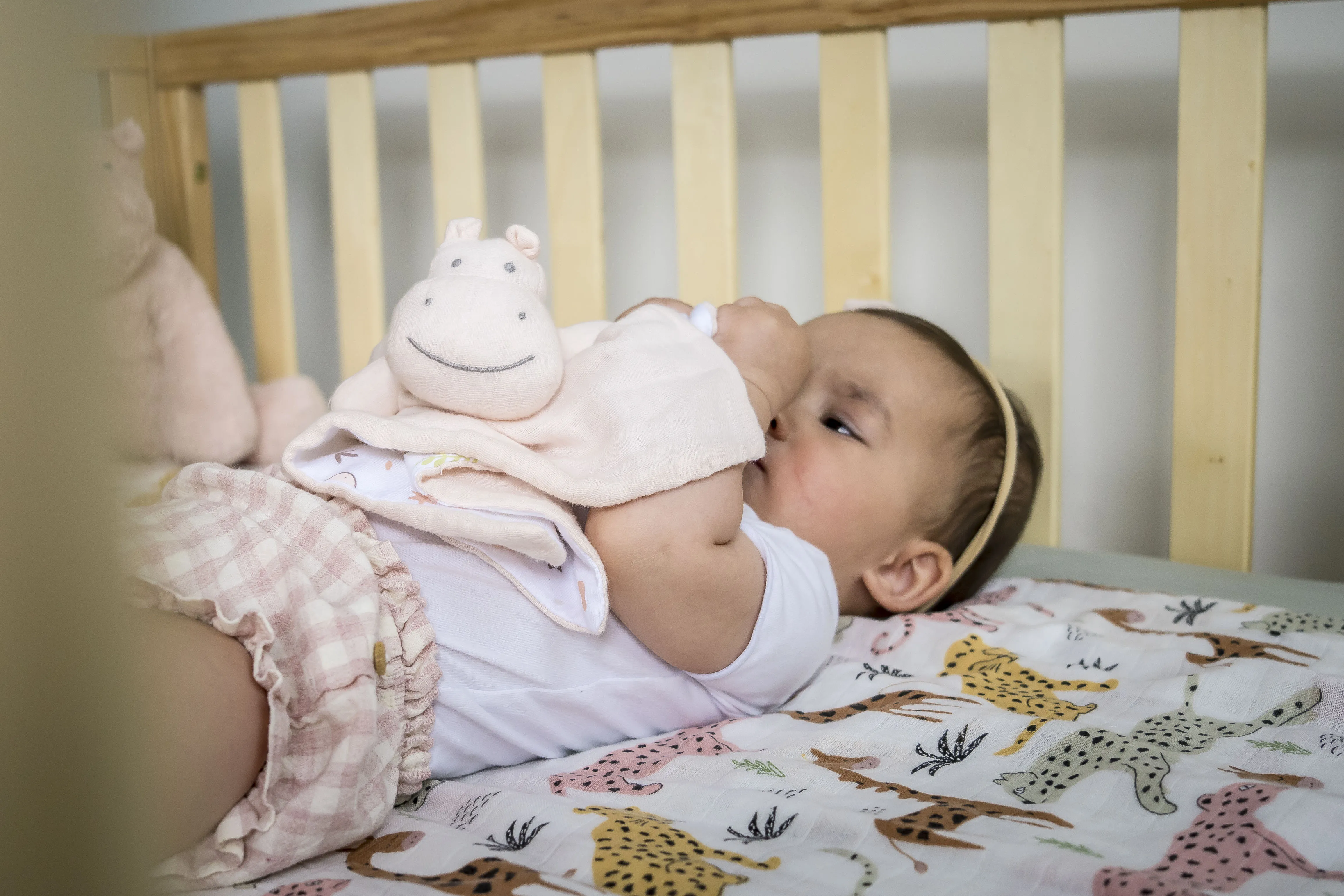Hippo Lovey with Rubber Teether